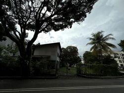 Balmoral Park (D10), Detached #465034281